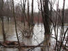 Maple Flood 2011